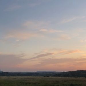 Meet your Posher, Harrison